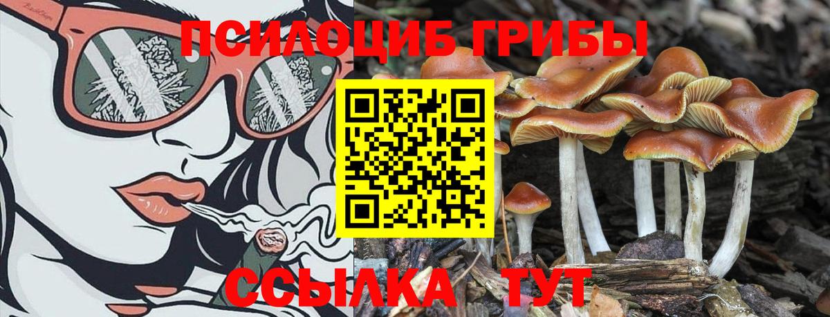Озёры  Галлюциногенные грибы мицелий  где продают   Вход с VPN 